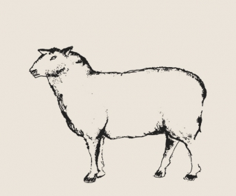 visual Lamb